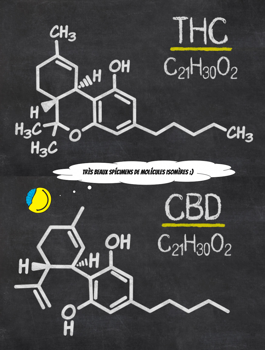 Formule chimique identique pour les deux molécules de THC et CBD