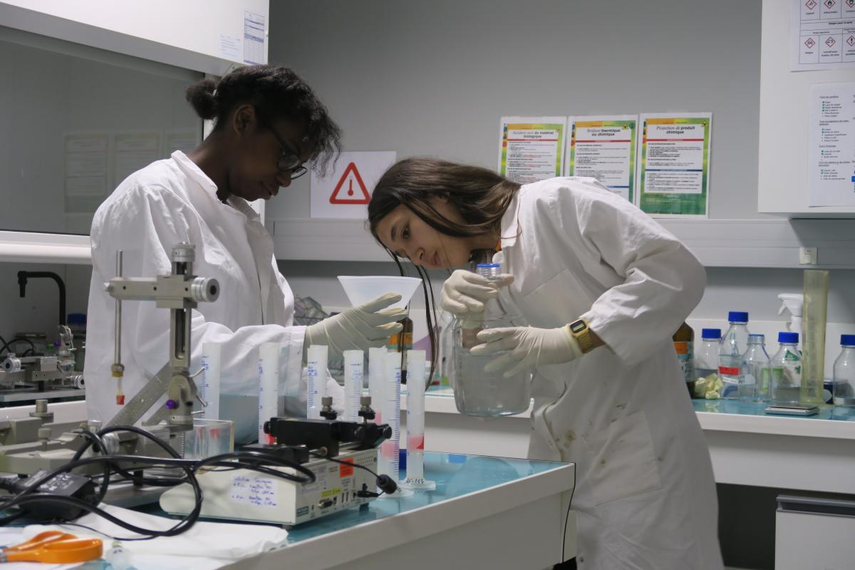 Rassimia et Zillan en laboratoire au cours de l’année