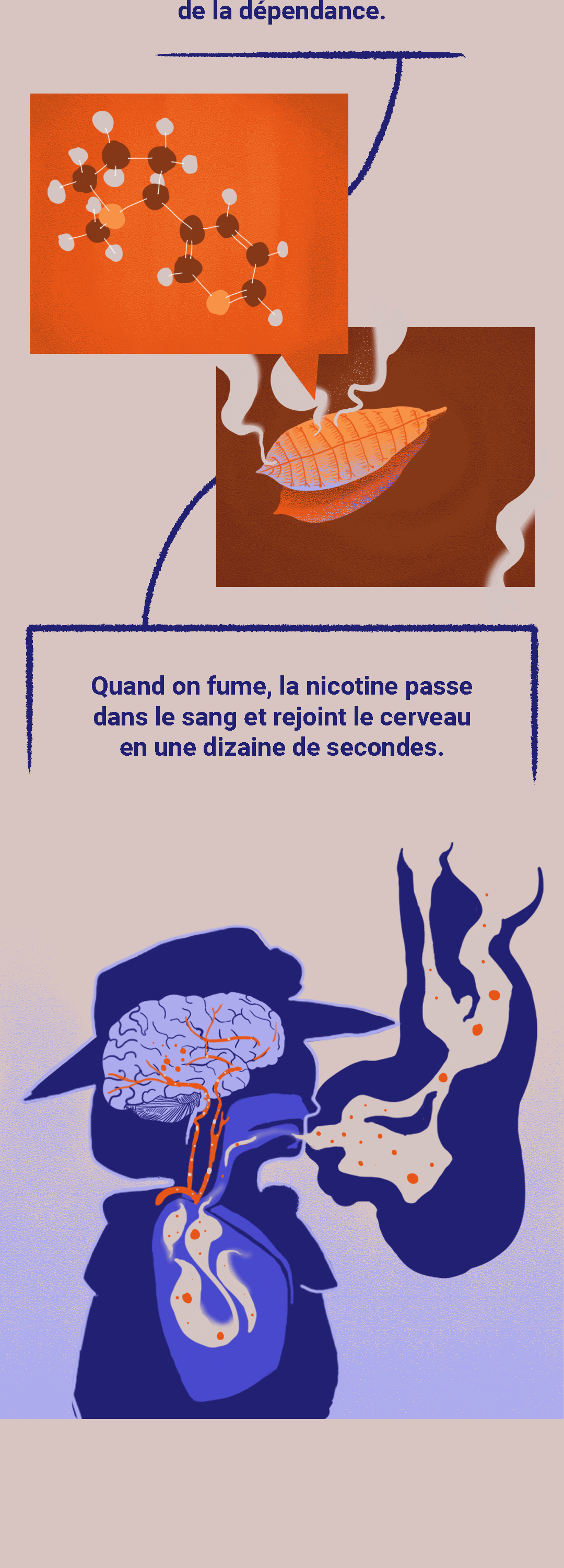 mémoire nicotine 43