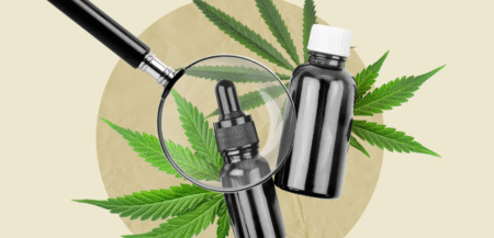 Les cannabinoïdes dans le traitement des addictions