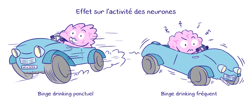 Impacts différents sur l'équilibre du cerveau des fréquences de binge drinking